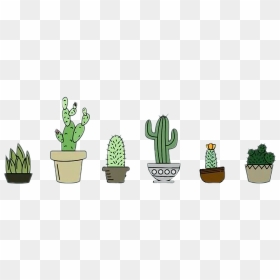 #png #overlay #edit #tumblr #cactus #nature - Laptop Background Hd Cactus, Transparent Png - cactus vector png