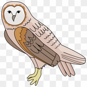 Barn Owl Clipart - Free Clipart Barn Owl, HD Png Download - barn owl png