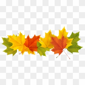 Google Borders Png - Transparent Background Autumn Leaves Png, Png Download - google pin png