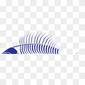 Blue,angle,area - Loon, HD Png Download - fish skeleton png