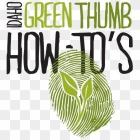 Idaho Green Thumb How-to"s - Graphic Design, HD Png Download - dead grass png