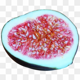 Fig Png Image - Common Fig, Transparent Png - fig png