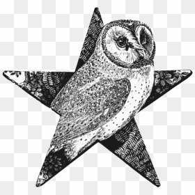 Barn Owl Barnstar - Gravure Noir Et Blanc, HD Png Download - barn owl png