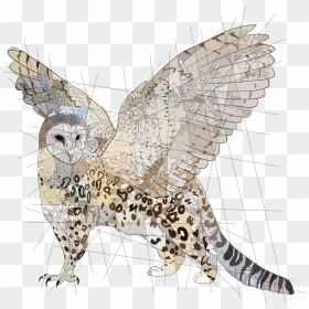 Asked Me To Do A Griffin Made Of A Barn Owl And A Snow - Snowy Owl Snow Leopard Griffin, HD Png Download - barn owl png