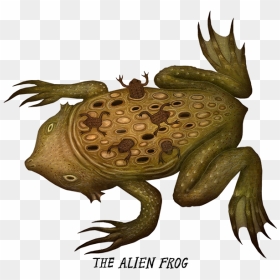 Frog Monster, HD Png Download - crazy frog png