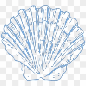 Scallop Png Icons - Scallop Shell Drawing Blue, Transparent Png - scalloped border png