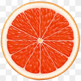 Citrus Slices Clipart , Png Download - Citrus Fruits Slice Png, Transparent Png - citrus png