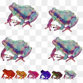 #frogs #crazy #creazyfrogs - Frog With White Background, HD Png Download - crazy frog png