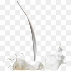 Milk Splash Png Hd Image - Milk, Transparent Png - milk drop png