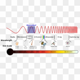 The Electromagnetic Spectrum - Infrared Radiation On The Electromagnetic Spectrum, HD Png Download - spectrum png