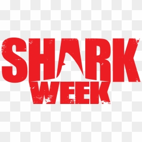 Discovery Shark Week Logo , Png Download - Shark Week Logo Png, Transparent Png - week png