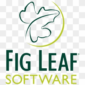 Vector Fig Leaf, HD Png Download - fig png
