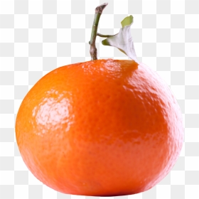 Tangerine Transparent Free, HD Png Download - citrus png