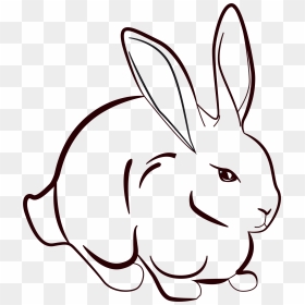 Rabbit Line Art, HD Png Download - vhv