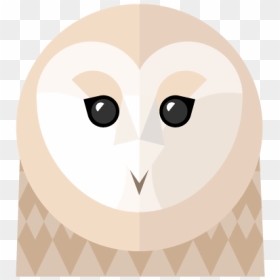 Barn Owl, HD Png Download - barn owl png