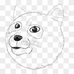 Sketch, HD Png Download - doge face png