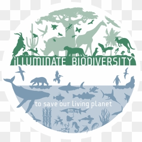 Supporting Biodiversity, HD Png Download - barcode without numbers png