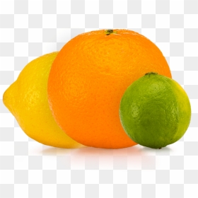 Rangpur, HD Png Download - citrus png