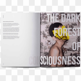 Equestrian Fabric, HD Png Download - magazines png