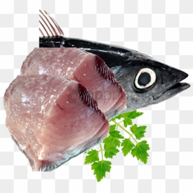 Free Png Fish Meat Png Png Image With Transparent Background - Tuna Fish Meat Png, Png Download - fish meat png