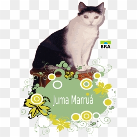 Juma Marrua With Flowers Clip Arts, HD Png Download - small flowers png