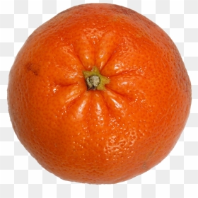 Fruit,vitamin Pictures, Free Photos, Free Images, Royalty - Rangpur, HD Png Download - citrus png