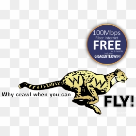 High Speed Internet - Cheetah Cartoon, HD Png Download - high speed internet png