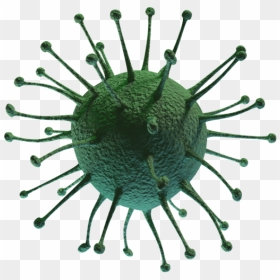 Transparent Background Virus Vector Png, Png Download - rough texture png