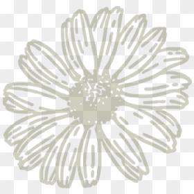 Zinnia, HD Png Download - small flowers png
