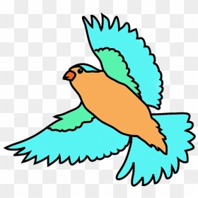 Birds Flying Drawing Colorful - Flying Bird Drawing With Colour, HD Png Download - birds fly png