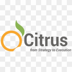 Citrus Consulting Services - Pacific Islands Club Guam, HD Png Download - citrus png