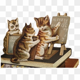 Math Cat, HD Png Download - maths png