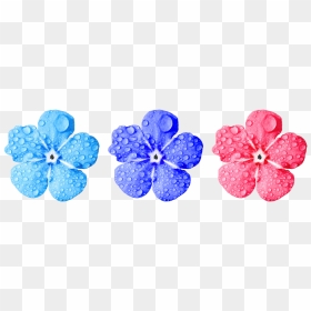 No Copyright Flower Png, Hd Png Download - Non Copyrighted Flower Png, Transparent Png - small flowers png