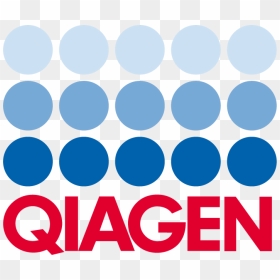Qiagen Alf Reader - Qiagen Nv, HD Png Download - alf png