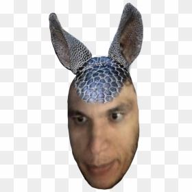 Armadillo, HD Png Download - elegiggle png