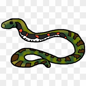 Colki Wiki - Serpent, HD Png Download - snake png image