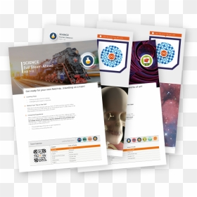 Flyer, HD Png Download - champions png