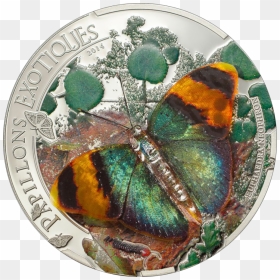 Coin, HD Png Download - 3d butterfly png