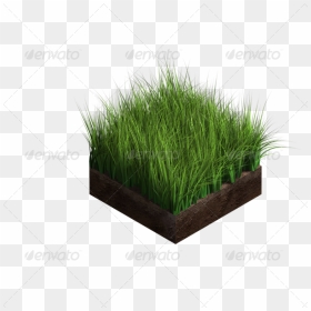 4 Dirt 05 Grass - Ground For Design Png, Transparent Png - grass ground png