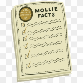 Facts - Paper, HD Png Download - facts png