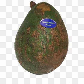 Kiwifruit, HD Png Download - drumstick vegetable png