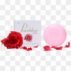 Pearldew Gulabjal Soap - Garden Roses, HD Png Download - gulab png