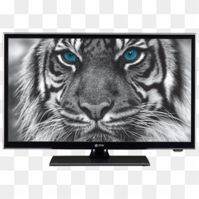 Estar Led Tv - Tiger Twitter Header, HD Png Download - wall led tv png
