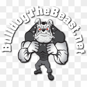 Fitness Clipart Strength And Conditioning - Bulldog Strength & Conditioning, HD Png Download - fitness clipart png