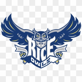 Rice Owls, HD Png Download - rice png images