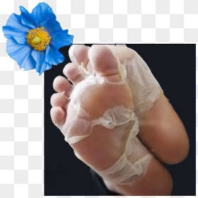 Make An Appointment - Baby Foot Treatment, HD Png Download - baby foot png