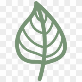 Banyan Leaf Png, Transparent Png - banyan leaf png