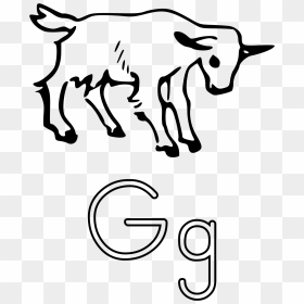 G Is For Goat Alphabet Learning Guide Drawing - Fainting Goat Clipart Black And White, HD Png Download - goat vector png