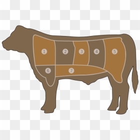 Beef Vector Fish Meat - Wholesale And Retail Cuts Of Beef Diagram, HD Png Download - fish meat png