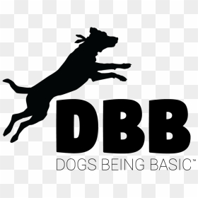 Transparent Jumping Dog Png - Dog Catches Something, Png Download - dog logo png